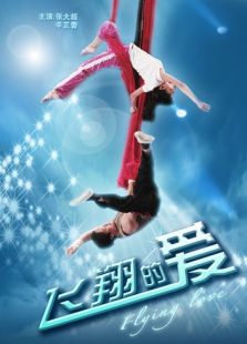 飛翔的愛