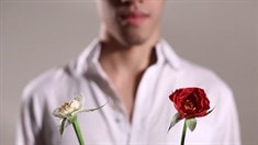 宣傳片之劈腿催淚