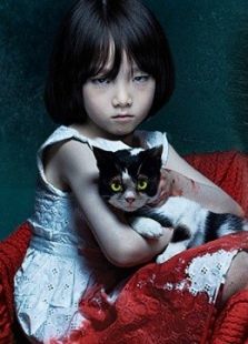 貓：看見死亡的雙眼