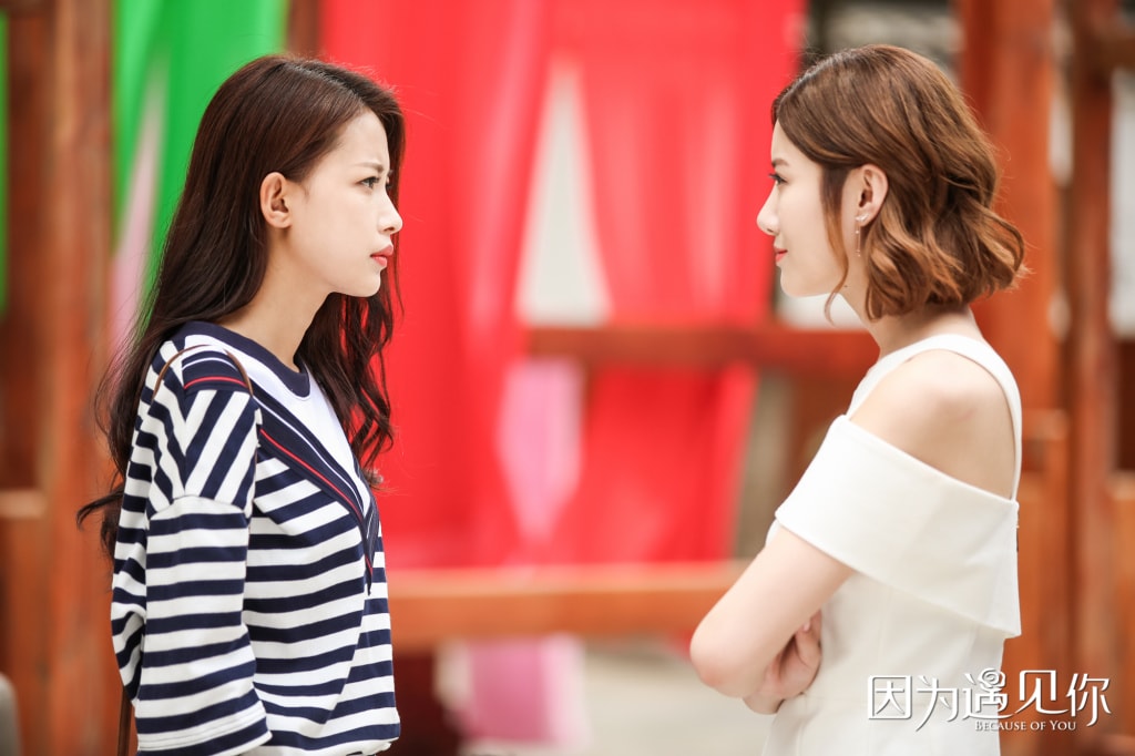 因?yàn)橛鲆?jiàn)你[DVD版]  劇照(2)