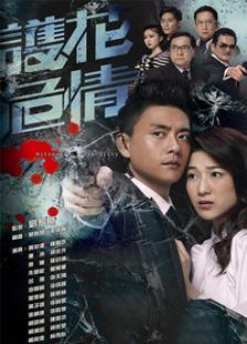 護花危情（國語版）