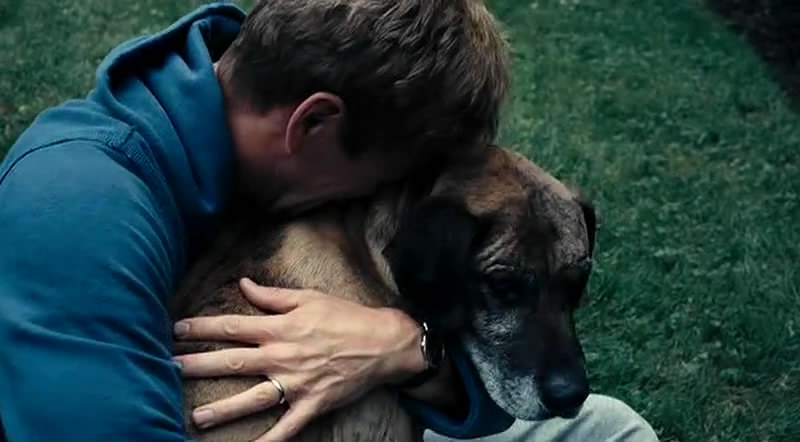 兔子洞 精彩圖冊(cè)1