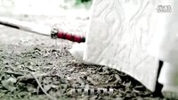 秦時明月 未刪減版 《秦時明月》飯制MV《風云》