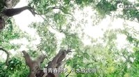 《馬向陽下鄉(xiāng)記》片花片段（背景樂：李琦《追夢者》）