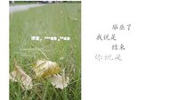 那年夏天，寫在畢業(yè)前—貍窩照片制作視頻軟件