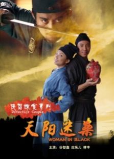 俠侶探案系列天陽(yáng)迷案