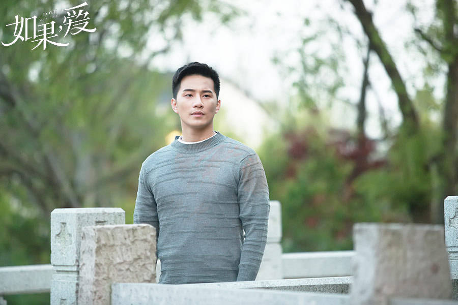 如果，愛 DVD版  劇照