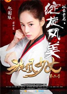 旋風少女第二季