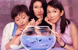 月亮的秘密 劇照選載