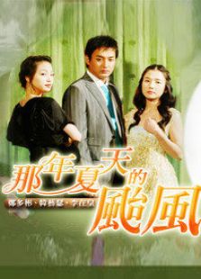 那年夏天的臺風