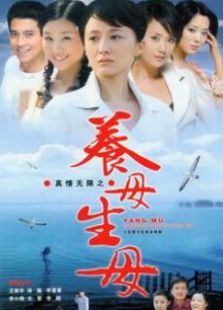 真情無限之養母生母