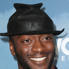 阿爾迪斯·霍奇