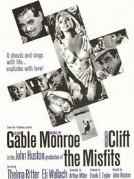 亂點(diǎn)鴛鴦譜 美國(guó)版