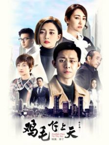 雞毛飛上天DVD版