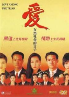 愛(ài)在那歲月的日子