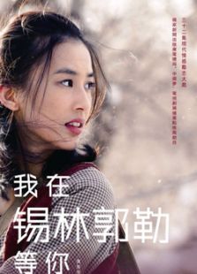 我在錫林郭勒等你