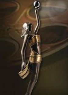 第32屆香港電影金像獎提名佳片精選