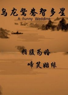 烏龍鴛鴦智多星