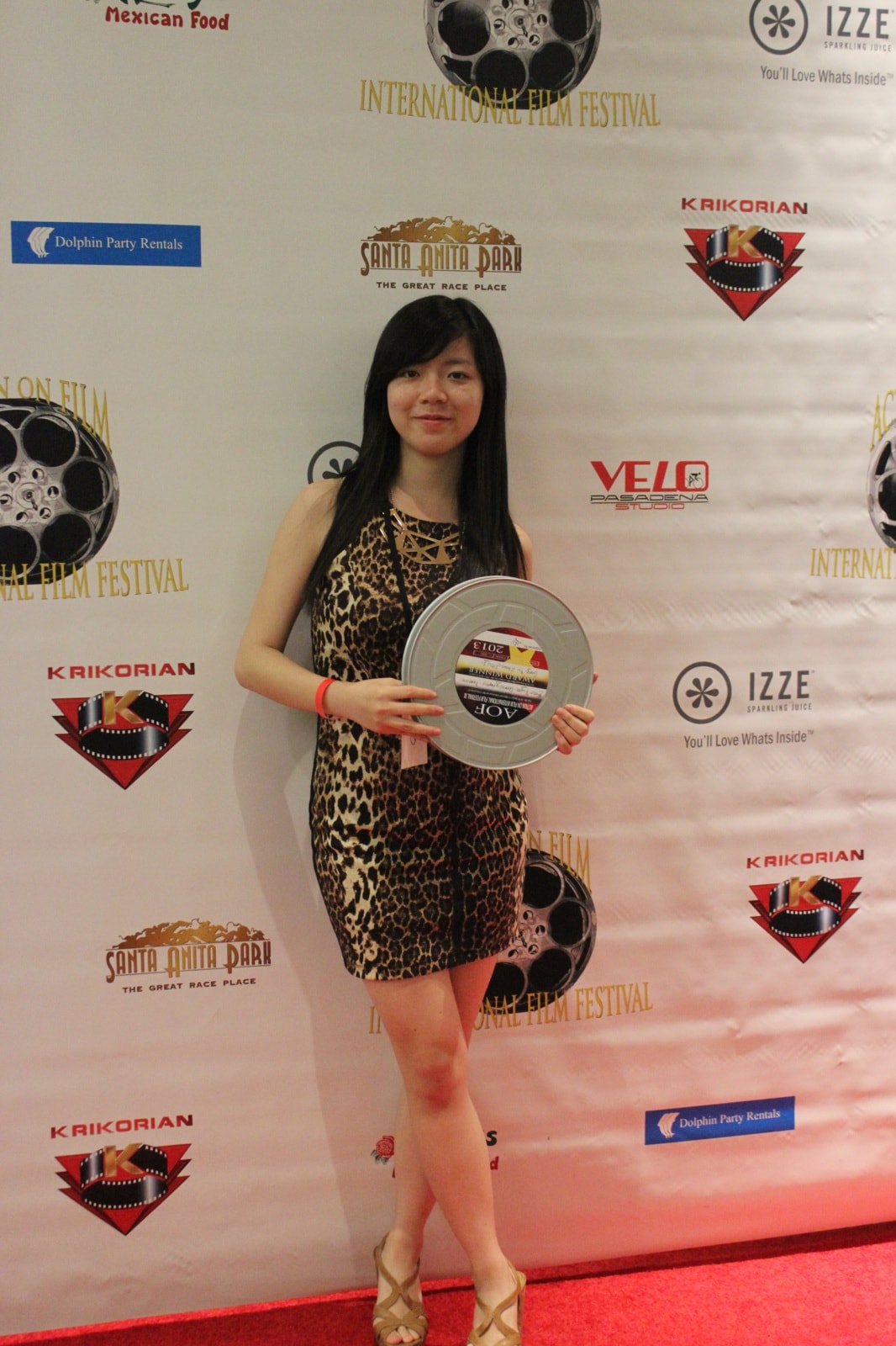 功夫戰斗機劇照