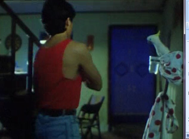 癡情快婿 精彩圖冊