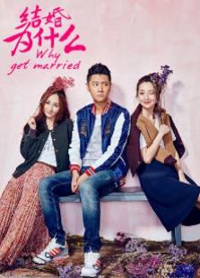 結婚為什么之我們的青春志