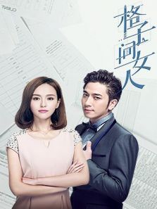 格子間女人 DVD版