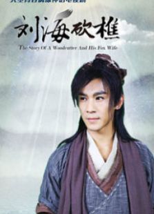 劉海哥的愛情故事