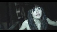 楊冪版預(yù)告片