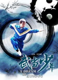 武當(dāng)少年