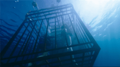 中文版終極預告片