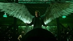 角色特輯之Angel